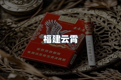 福建云霄